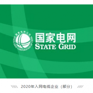祝賀縱覽線纜集團(tuán)成功進(jìn)入國(guó)家電網(wǎng)供應(yīng)商名錄，成為廣西唯一一家進(jìn)入國(guó)網(wǎng)的電線電纜供 ...