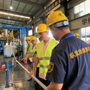 粵桂兩省區(qū)統(tǒng)戰(zhàn)部、工商聯(lián)領(lǐng)導(dǎo)蒞臨縱覽集團(tuán)檢查指導(dǎo)工作