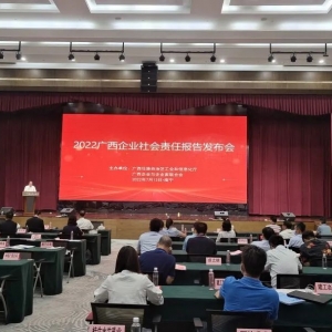 責(zé)任促發(fā)展 文化鑄品牌 ——我司發(fā)布2021年企業(yè)社會(huì)責(zé)任報(bào)告 ...