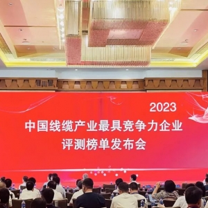 中國線纜產(chǎn)業(yè)最具競爭力企業(yè)100強發(fā)布：縱覽線纜連續(xù)五年上榜！