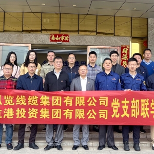 黨建引領(lǐng)聚合力 聯(lián)建共建促發(fā)展|縱覽線纜集團(tuán)與航港投資集團(tuán)開展聯(lián)學(xué)聯(lián)建黨建活動(dòng)